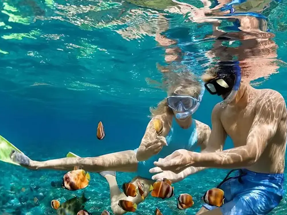 Blue Lagoon Snorkeling — Photo 2 of 4