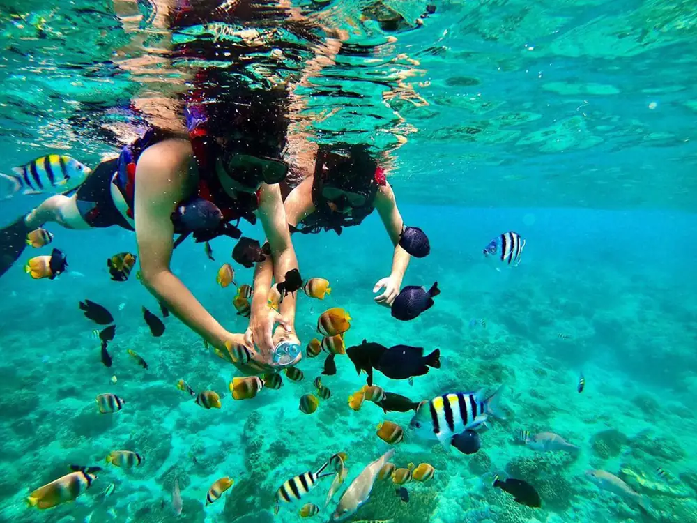 Private Snorkeling, 3–4 Spots in Nusa Penida, Bali