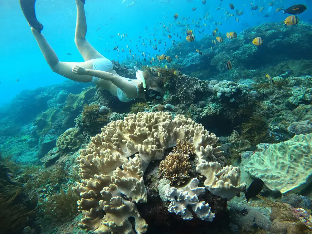 Shared Snorkeling, 3–4 Spots in Nusa Penida, Bali