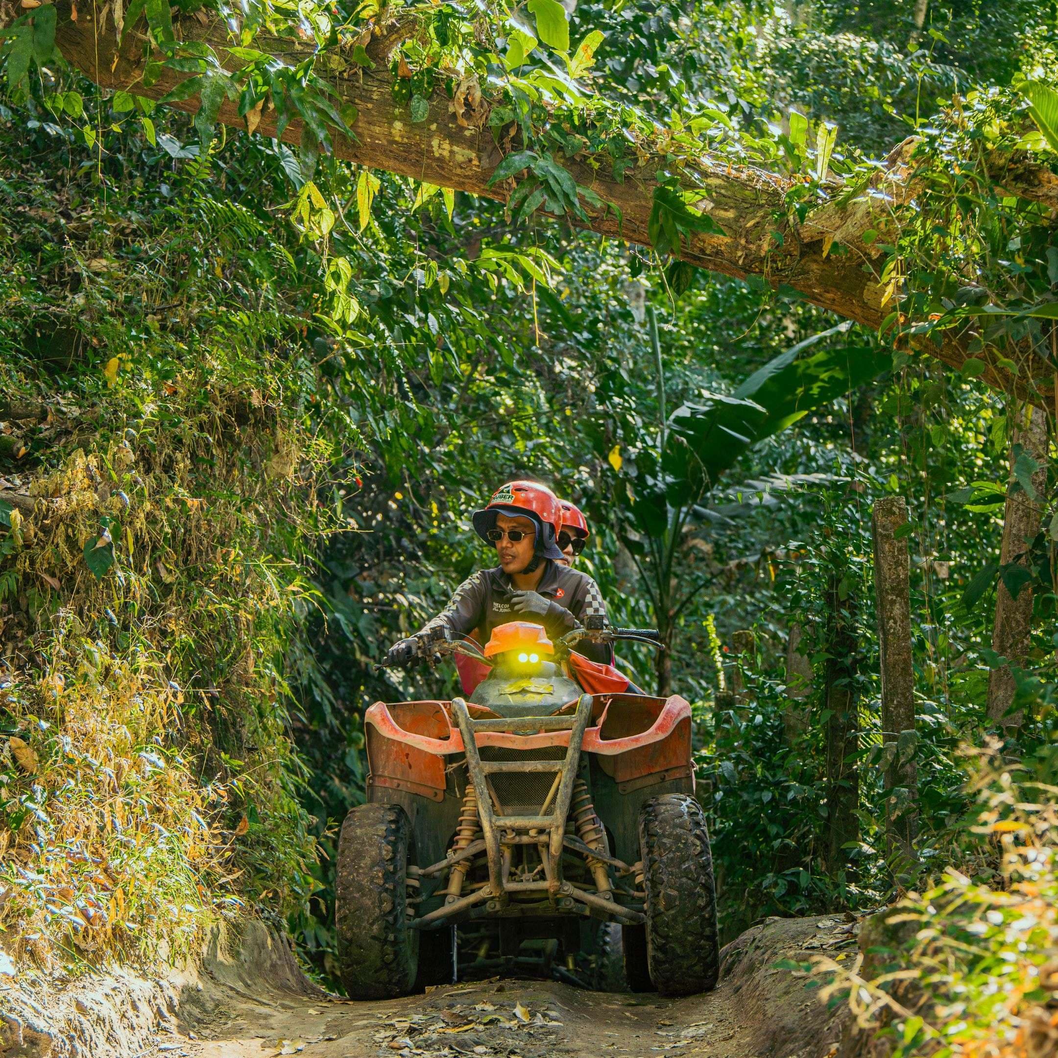 ATV in Ubud: The Complete Guide to Quad Biking Around Bali's Jungle Capital — ATV riding in Bali